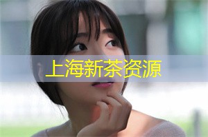 上海新茶工作室：无论你是刚开始了解茶文化的初学者