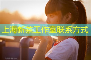 上海各区新茶工作室：上海美食探店