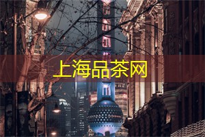 爱上海龙凤419：上海会所秘境探险：揭开神秘面纱，探索前所未知的世界！