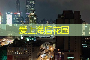 上海新茶工作室：高能互动！上海论坛打造了最强思想碰撞平台！