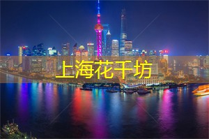 上海品茶工作室：汇聚自然之美，感受上海后花园的魅力！