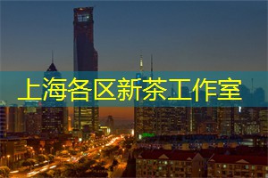 <strong>爱上海官网</strong>：上海：北外滩码头今年入境客已超过1.3万名
